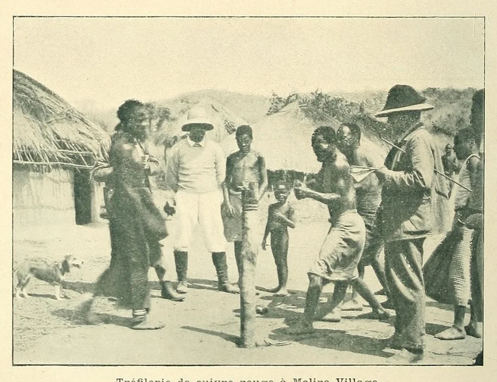 An illustration from Mission scientifique du Ka-Tanga : journal de route, section Moliro, M'pwéto, Ka-Béca, Lofoï, chutes Ki-Oubo, 1902, leaf 60