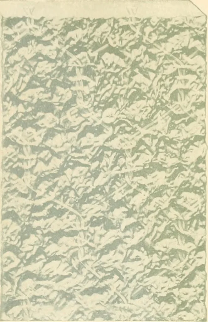 An illustration from Mississippi Glass Co., Mississippi Wire Glass Co., 1920, leaf 12