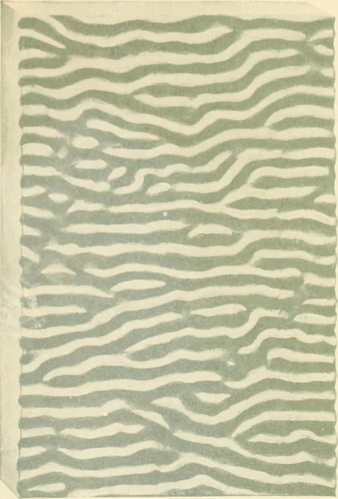 An illustration from Mississippi Glass Co., Mississippi Wire Glass Co., 1920, leaf 28