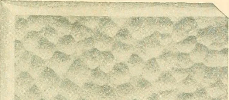 An illustration from Mississippi Glass Co., Mississippi Wire Glass Co., 1920, leaf 33