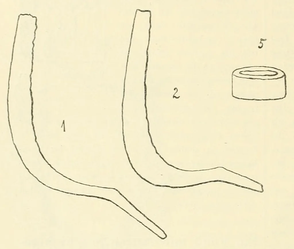 An illustration from Mitteilungen der K.K. Zentral-Kommission für Erforschung und Erhaltung Kunst- und Historischen Denkmale, 1903, leaf 198