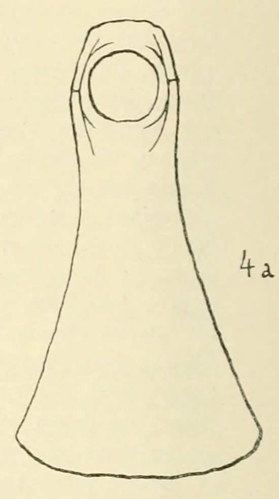 An illustration from Mitteilungen der K.K. Zentral-Kommission für Erforschung und Erhaltung Kunst- und Historischen Denkmale, 1903, leaf 198