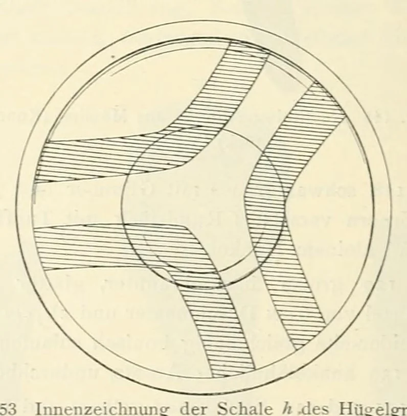 An illustration from Mitteilungen der K.K. Zentral-Kommission für Erforschung und Erhaltung Kunst- und Historischen Denkmale, 1903, leaf 270