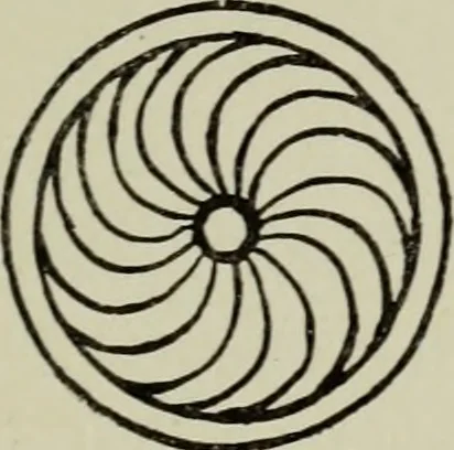 An illustration from Mittelalterliche Plastik in Venedig, 1903, leaf 92