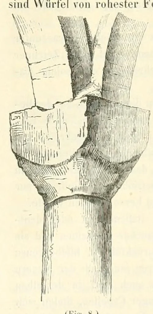 An illustration from Mittheilungen der K.K. Central-Commission zur Erforschung und Erhaltung der Baudenkmale, 1856, leaf 231