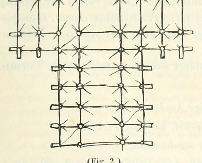 An illustration from Mittheilungen der K.K. Central-Commission zur Erforschung und Erhaltung der Baudenkmale, 1856, leaf 165