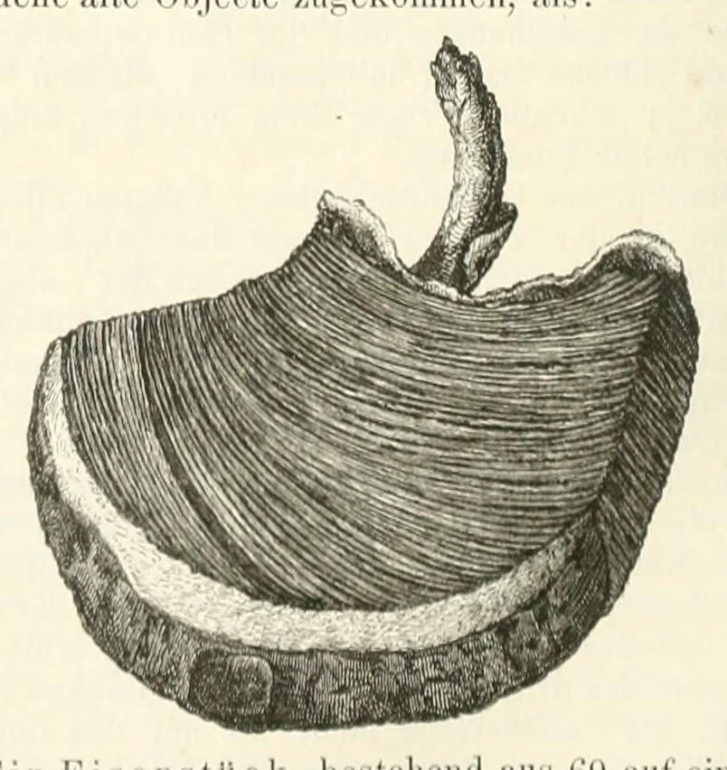 An illustration from Mittheilungen der K.K. Central-Commission zur Erforschung und Erhaltung der Baudenkmale, 1856, leaf 348