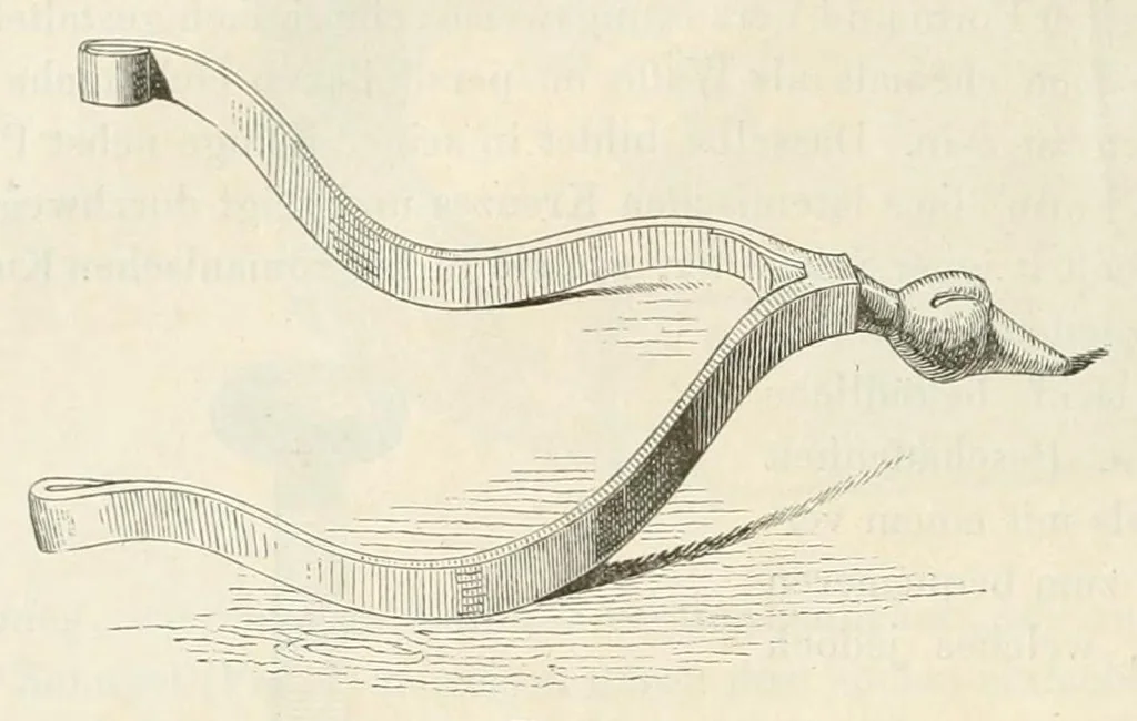 An illustration from Mittheilungen der K.K. Central-Commission zur Erforschung und Erhaltung der Baudenkmale, 1856, leaf 110