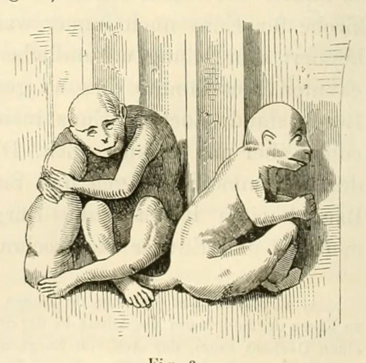 An illustration from Mittheilungen der K.K. Central-Commission zur Erforschung und Erhaltung der Baudenkmale, 1856, leaf 212