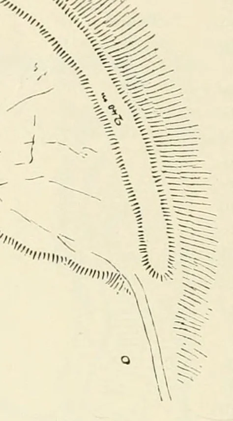 An illustration from Mittheilungen der K.K. Central-Commission zur Erforschung und Erhaltung der Kunst- und Historischen Denkmale, 1875, leaf 146
