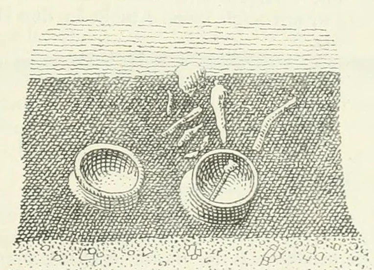 An illustration from Mittheilungen der K.K. Central-Commission zur Erforschung und Erhaltung der Kunst- und Historischen Denkmale, 1875, leaf 325