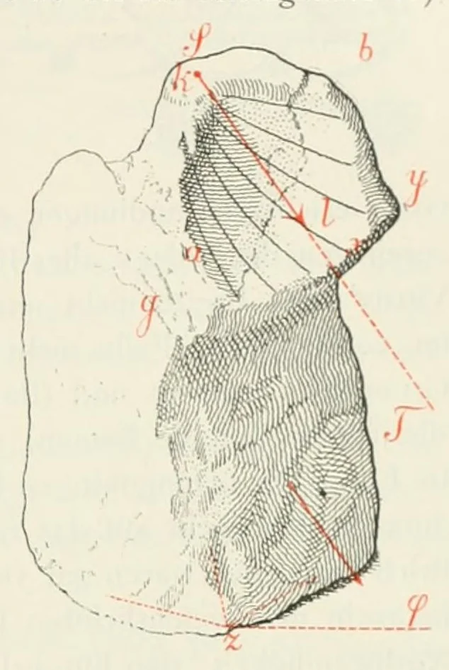 An illustration from Mittheilungen der K.K. Central-Commission zur Erforschung und Erhaltung der Kunst- und Historischen Denkmale, 1875, leaf 117