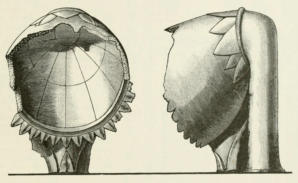 An illustration from Mittheilungen der K.K. Central-Commission zur Erforschung und Erhaltung der Kunst- und Historischen Denkmale, 1875, leaf 263
