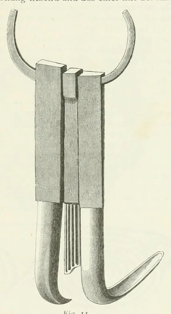 An illustration from Mittheilungen der K.K. Central-Commission zur Erforschung und Erhaltung der Kunst- und Historischen Denkmale, 1875, leaf 141