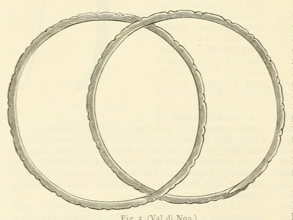 An illustration from Mittheilungen der K.K. Central-Commission zur Erforschung und Erhaltung der Kunst- und Historischen Denkmale, 1875, leaf 262