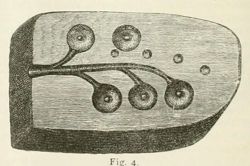 An illustration from Mittheilungen der K.K. Central-Commission zur Erforschung und Erhaltung der Kunst- und Historischen Denkmale, 1875, leaf 190