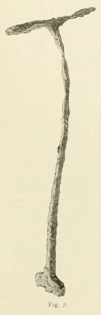 An illustration from Mittheilungen der K.K. Central-Commission zur Erforschung und Erhaltung der Kunst- und Historischen Denkmale, 1875, leaf 267