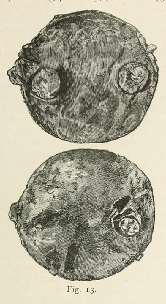 An illustration from Mittheilungen der K.K. Central-Commission zur Erforschung und Erhaltung der Kunst- und Historischen Denkmale, 1875, leaf 61