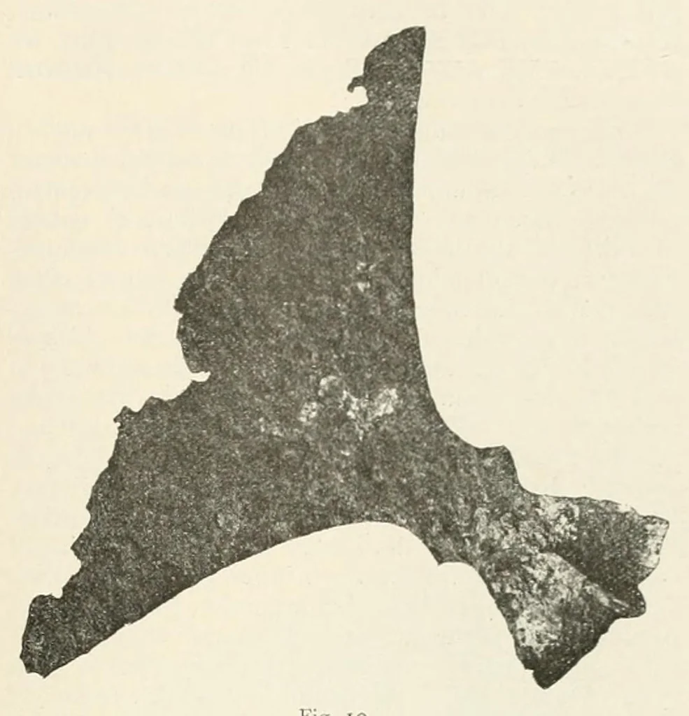 An illustration from Mittheilungen der K.K. Central-Commission zur Erforschung und Erhaltung der Kunst- und Historischen Denkmale, 1875, leaf 323