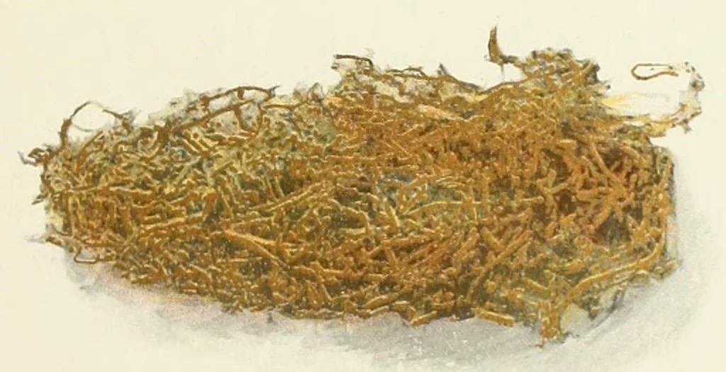 An illustration from Mittheilungen der K.K. Central-Commission zur Erforschung und Erhaltung der Kunst- und Historischen Denkmale, 1875, leaf 179