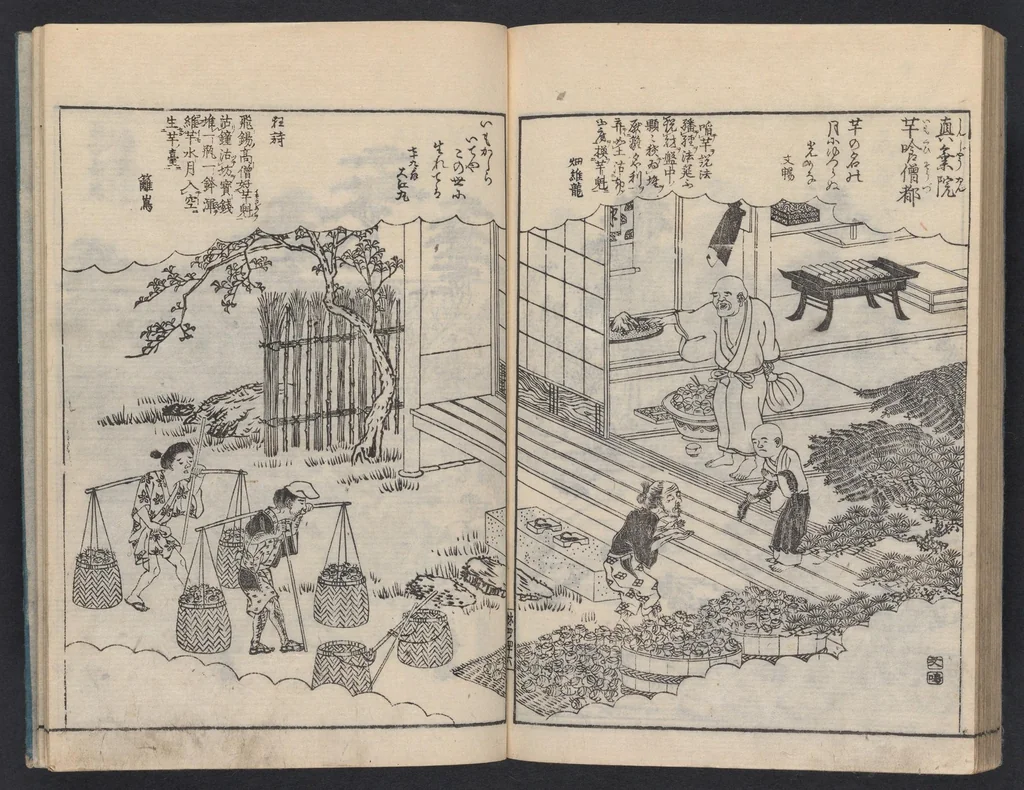 An illustration from Miyako rinsen meishō zue : zenbu rokusatsu, 1800, leaf 49