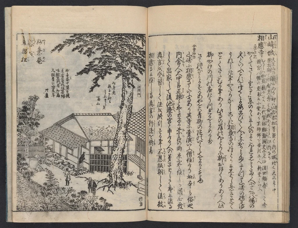 An illustration from Miyako rinsen meishō zue : zenbu rokusatsu, 1800, leaf 25