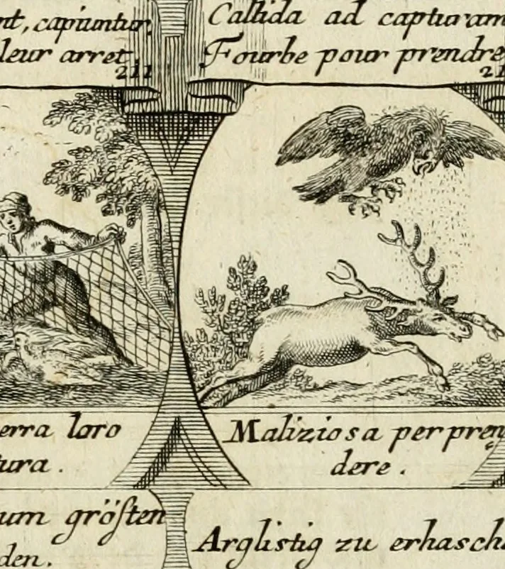 An illustration from M. Laurentii Wolfgangi Woyttens Emblematischer Parnassus : worauf die Musen, ihre Blumen-Lese, zu allerhand Freuden und Trauer-Kräntzen halten : um, den Lob-werthen Tugend-Chor, durch angenehme Rosen : hergegen, das ungezähmte Laster-Thun, mit wildem Dorn- und Distel-Flor, zu krönen : nach specialem Verlangen, in einem Gefilde, von funffzehen Hundert in dreyen verschiedlichen Theilen verfassten .., 1727, leaf 130