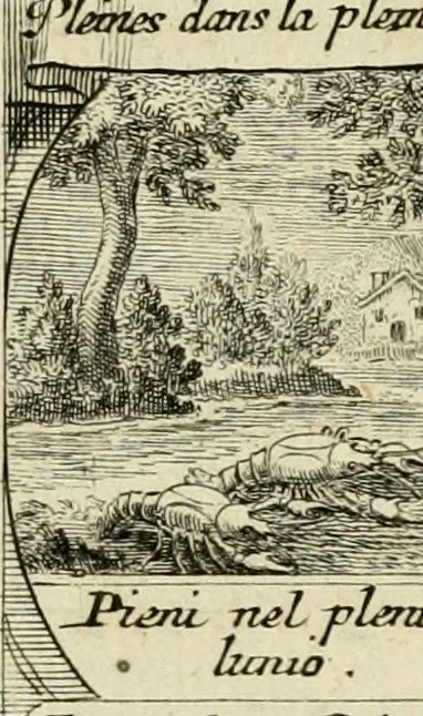 An illustration from M. Laurentii Wolfgangi Woyttens Emblematischer Parnassus : worauf die Musen, ihre Blumen-Lese, zu allerhand Freuden und Trauer-Kräntzen halten : um, den Lob-werthen Tugend-Chor, durch angenehme Rosen : hergegen, das ungezähmte Laster-Thun, mit wildem Dorn- und Distel-Flor, zu krönen : nach specialem Verlangen, in einem Gefilde, von funffzehen Hundert in dreyen verschiedlichen Theilen verfassten .., 1727, leaf 130