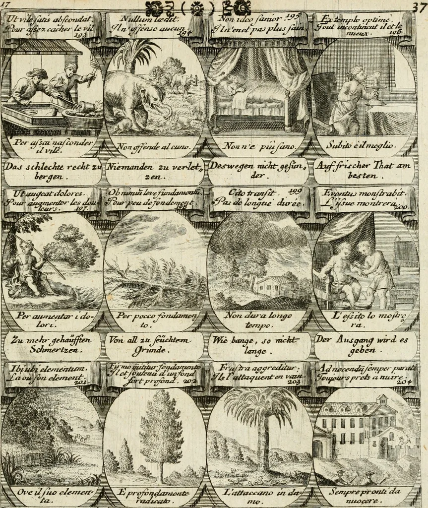 An illustration from M. Laurentii Wolfgangi Woyttens Emblematischer Parnassus : worauf die Musen, ihre Blumen-Lese, zu allerhand Freuden und Trauer-Kräntzen halten : um, den Lob-werthen Tugend-Chor, durch angenehme Rosen : hergegen, das ungezähmte Laster-Thun, mit wildem Dorn- und Distel-Flor, zu krönen : nach specialem Verlangen, in einem Gefilde, von funffzehen Hundert in dreyen verschiedlichen Theilen verfassten .., 1727, leaf 216