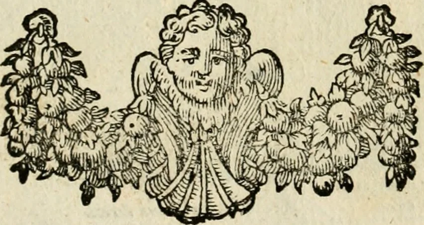 An illustration from M. Laurentii Wolfgangi Woyttens Emblematischer Parnassus : worauf die Musen, ihre Blumen-Lese, zu allerhand Freuden und Trauer-Kräntzen halten : um, den Lob-werthen Tugend-Chor, durch angenehme Rosen : hergegen, das ungezähmte Laster-Thun, mit wildem Dorn- und Distel-Flor, zu krönen : nach specialem Verlangen, in einem Gefilde, von funffzehen Hundert in dreyen verschiedlichen Theilen verfassten .., 1727, leaf 265