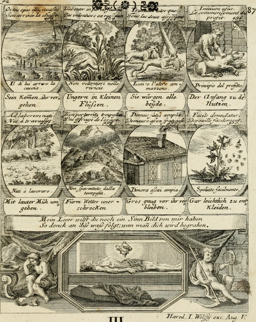 An illustration from M. Laurentii Wolfgangi Woyttens Emblematischer Parnassus : worauf die Musen, ihre Blumen-Lese, zu allerhand Freuden und Trauer-Kräntzen halten : um, den Lob-werthen Tugend-Chor, durch angenehme Rosen : hergegen, das ungezähmte Laster-Thun, mit wildem Dorn- und Distel-Flor, zu krönen : nach specialem Verlangen, in einem Gefilde, von funffzehen Hundert in dreyen verschiedlichen Theilen verfassten .., 1727, leaf 266