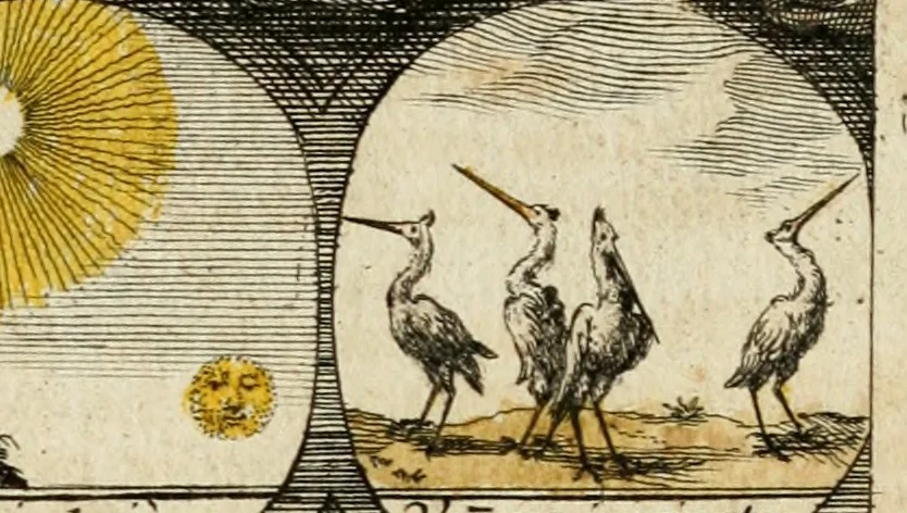 An illustration from M. Laurentii Wolfgangi Woyttens Emblematischer Parnassus : worauf die Musen, ihre Blumen-Lese, zu allerhand Freuden und Trauer-Kräntzen halten : um, den Lob-werthen Tugend-Chor, durch angenehme Rosen : hergegen, das ungezähmte Laster-Thun, mit wildem Dorn- und Distel-Flor, zu krönen : nach specialem Verlangen, in einem Gefilde, von funffzehen Hundert in dreyen verschiedlichen Theilen verfassten .., 1727, leaf 8