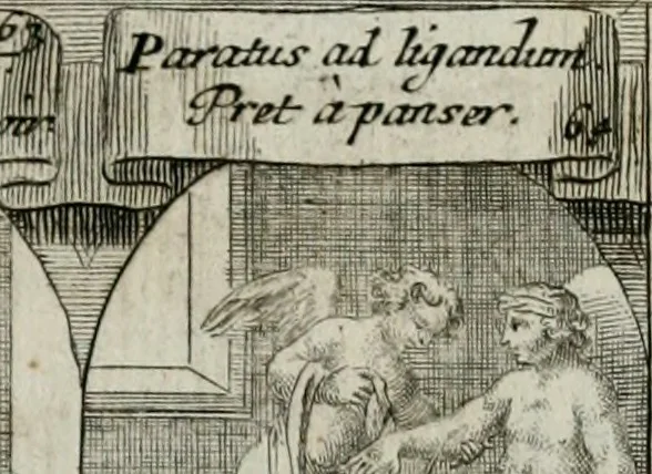 An illustration from M. Laurentii Wolfgangi Woyttens Emblematischer Parnassus : worauf die Musen, ihre Blumen-lese zu allerhand Freuden und Trauer-kränken halten. Um den Lob-werthen Tugend-chor durch angenehme rosen hergegen das ungezähmte Laster-thun mit wildem Dorn- und Distel-flor zu krönen, 1727, leaf 108