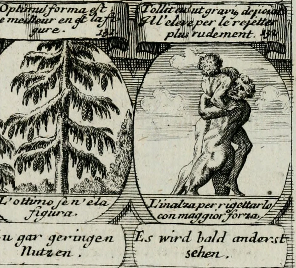 An illustration from M. Laurentii Wolfgangi Woyttens Emblematischer Parnassus : worauf die Musen, ihre Blumen-lese zu allerhand Freuden und Trauer-kränken halten. Um den Lob-werthen Tugend-chor durch angenehme rosen hergegen das ungezähmte Laster-thun mit wildem Dorn- und Distel-flor zu krönen, 1727, leaf 206