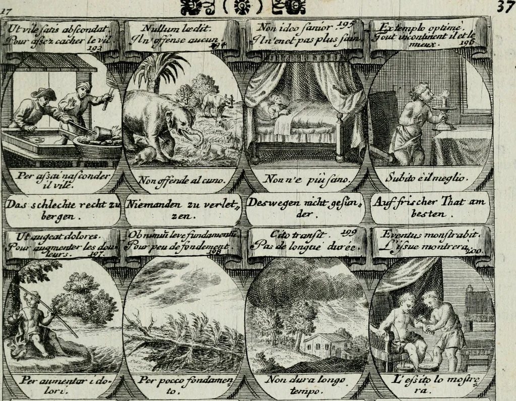 An illustration from M. Laurentii Wolfgangi Woyttens Emblematischer Parnassus : worauf die Musen, ihre Blumen-lese zu allerhand Freuden und Trauer-kränken halten. Um den Lob-werthen Tugend-chor durch angenehme rosen hergegen das ungezähmte Laster-thun mit wildem Dorn- und Distel-flor zu krönen, 1727, leaf 218