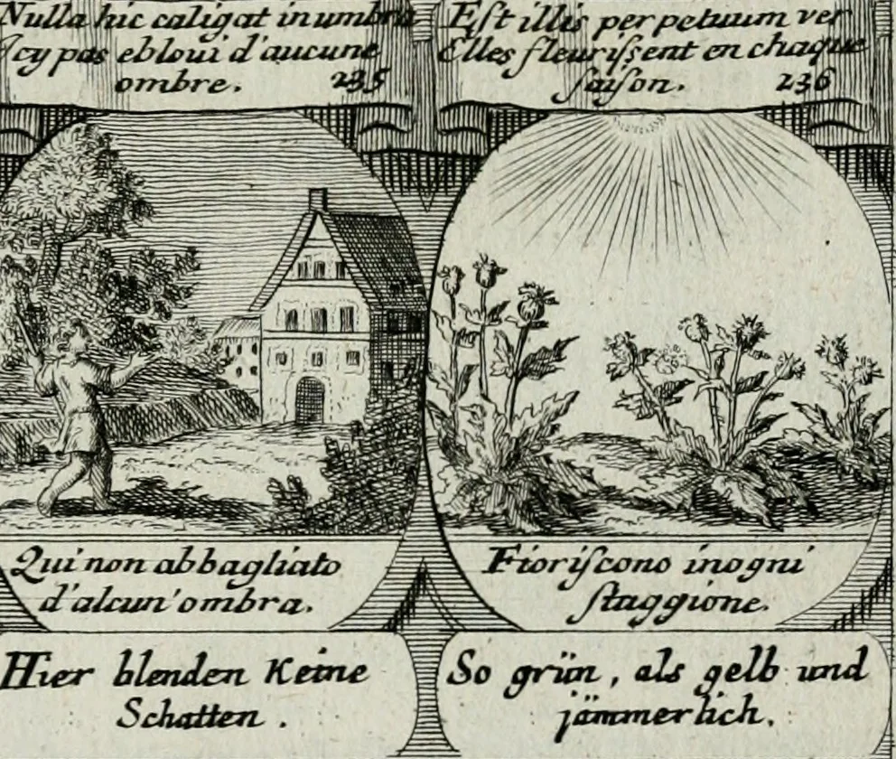 An illustration from M. Laurentii Wolfgangi Woyttens Emblematischer Parnassus : worauf die Musen, ihre Blumen-lese zu allerhand Freuden und Trauer-kränken halten. Um den Lob-werthen Tugend-chor durch angenehme rosen hergegen das ungezähmte Laster-thun mit wildem Dorn- und Distel-flor zu krönen, 1727, leaf 224