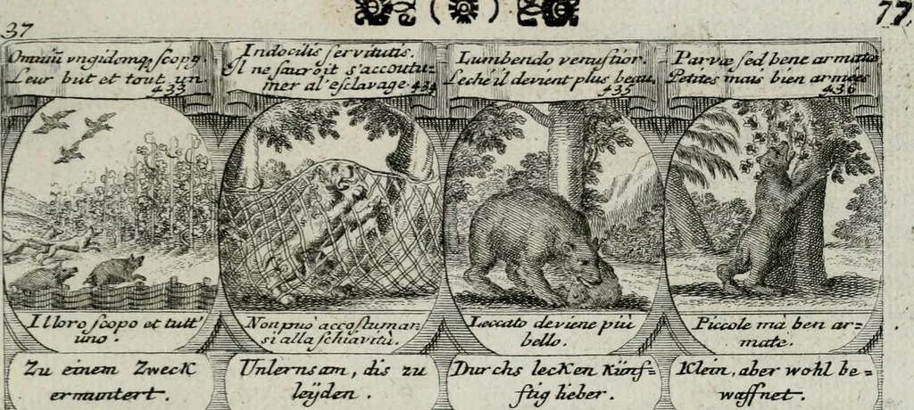 An illustration from M. Laurentii Wolfgangi Woyttens Emblematischer Parnassus : worauf die Musen, ihre Blumen-lese zu allerhand Freuden und Trauer-kränken halten. Um den Lob-werthen Tugend-chor durch angenehme rosen hergegen das ungezähmte Laster-thun mit wildem Dorn- und Distel-flor zu krönen, 1727, leaf 258