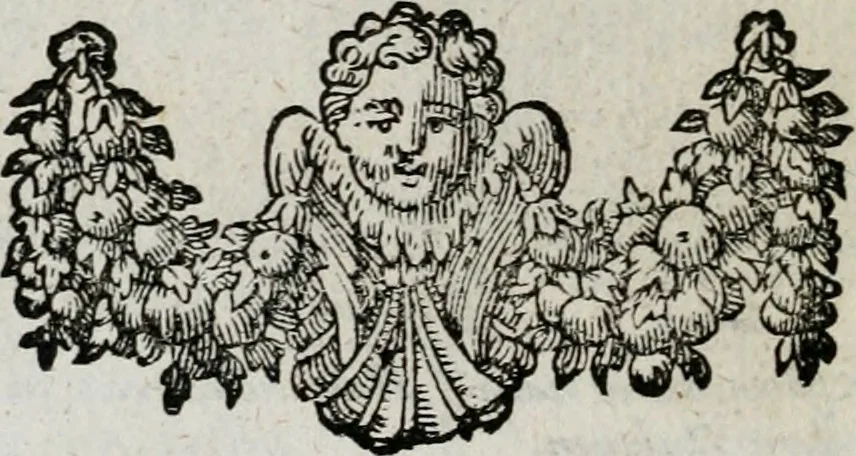 An illustration from M. Laurentii Wolfgangi Woyttens Emblematischer Parnassus : worauf die Musen, ihre Blumen-lese zu allerhand Freuden und Trauer-kränken halten. Um den Lob-werthen Tugend-chor durch angenehme rosen hergegen das ungezähmte Laster-thun mit wildem Dorn- und Distel-flor zu krönen, 1727, leaf 267