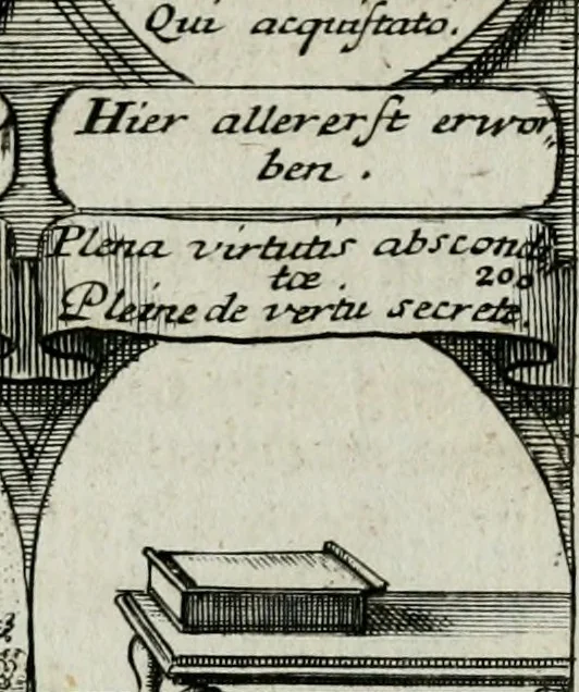 An illustration from M. Laurentii Wolfgangi Woyttens Emblematischer Parnassus : worauf die Musen, ihre Blumen-lese zu allerhand Freuden und Trauer-kränken halten. Um den Lob-werthen Tugend-chor durch angenehme rosen hergegen das ungezähmte Laster-thun mit wildem Dorn- und Distel-flor zu krönen, 1727, leaf 42