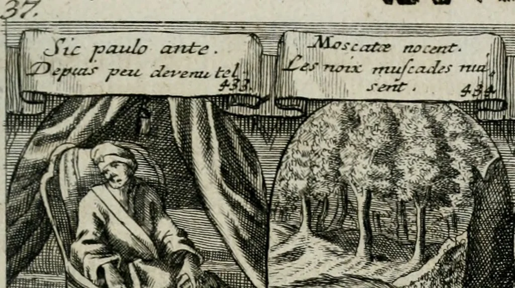 An illustration from M. Laurentii Wolfgangi Woyttens Emblematischer Parnassus : worauf die Musen, ihre Blumen-lese zu allerhand Freuden und Trauer-kränken halten. Um den Lob-werthen Tugend-chor durch angenehme rosen hergegen das ungezähmte Laster-thun mit wildem Dorn- und Distel-flor zu krönen, 1727, leaf 82