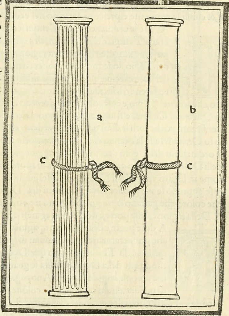 An illustration from M.L. Vitrvuio Pollione Di architettura : dal vero esemplare latino nella volgar lingua tradotto, e con le figure a suoi luoghi con mirãdo ordine insignito : anchora con la tauola alfabetica, nella quale facilmente si potra trouare la moltitudine de vocaboli a suoi luoghi cõ gran diligenza esposti e dichiarati : mai piu da alcuno altro fin al presente stampato a grande vtilita di ciascuno studioso, 1535, leaf 104
