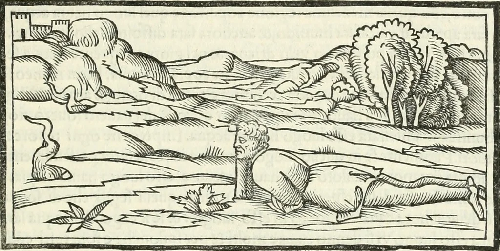 An illustration from M.L. Vitrvuio Pollione Di architettura : dal vero esemplare latino nella volgar lingua tradotto, e con le figure a suoi luoghi con mirãdo ordine insignito : anchora con la tauola alfabetica, nella quale facilmente si potra trouare la moltitudine de vocaboli a suoi luoghi cõ gran diligenza esposti e dichiarati : mai piu da alcuno altro fin al presente stampato a grande vtilita di ciascuno studioso, 1535, leaf 178