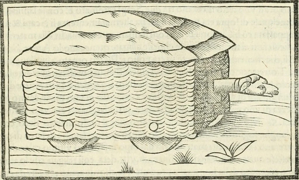 An illustration from M.L. Vitrvuio Pollione Di architettura : dal vero esemplare latino nella volgar lingua tradotto, e con le figure a suoi luoghi con mirãdo ordine insignito : anchora con la tauola alfabetica, nella quale facilmente si potra trouare la moltitudine de vocaboli a suoi luoghi cõ gran diligenza esposti e dichiarati : mai piu da alcuno altro fin al presente stampato a grande vtilita di ciascuno studioso, 1535, leaf 242