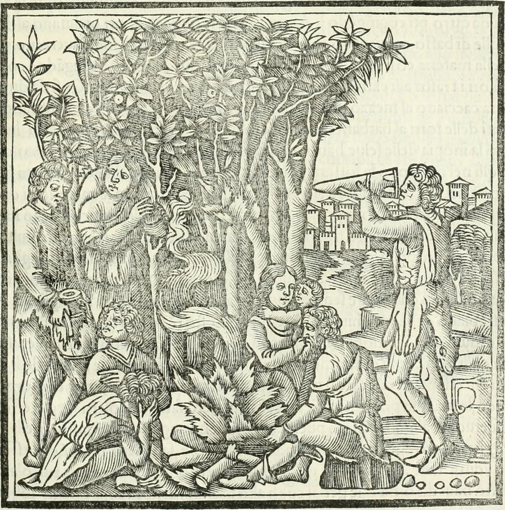 An illustration from M.L. Vitrvuio Pollione Di architettura : dal vero esemplare latino nella volgar lingua tradotto, e con le figure a suoi luoghi con mirãdo ordine insignito : anchora con la tauola alfabetica, nella quale facilmente si potra trouare la moltitudine de vocaboli a suoi luoghi cõ gran diligenza esposti e dichiarati : mai piu da alcuno altro fin al presente stampato a grande vtilita di ciascuno studioso, 1535, leaf 52
