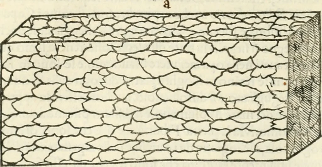 An illustration from M.L. Vitrvuio Pollione Di architettura : dal vero esemplare latino nella volgar lingua tradotto, e con le figure a suoi luoghi con mirãdo ordine insignito : anchora con la tauola alfabetica, nella quale facilmente si potra trouare la moltitudine de vocaboli a suoi luoghi cõ gran diligenza esposti e dichiarati : mai piu da alcuno altro fin al presente stampato a grande vtilita di ciascuno studioso, 1535, leaf 59