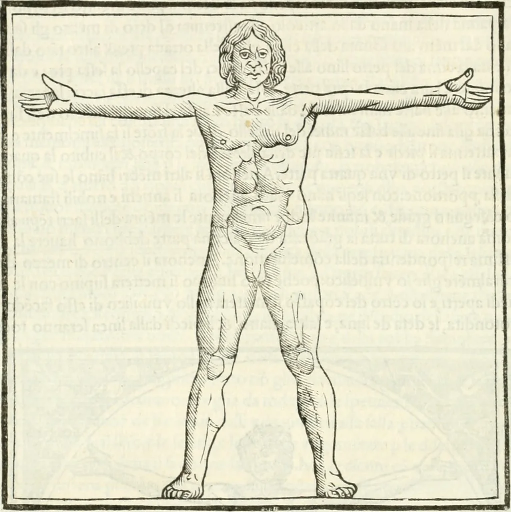 An illustration from M.L. Vitrvuio Pollione Di architettura : dal vero esemplare latino nella volgar lingua tradotto, e con le figure a suoi luoghi con mirãdo ordine insignito : anchora con la tauola alfabetica, nella quale facilmente si potra trouare la moltitudine de vocaboli a suoi luoghi cõ gran diligenza esposti e dichiarati : mai piu da alcuno altro fin al presente stampato a grande vtilita di ciascuno studioso, 1535, leaf 71