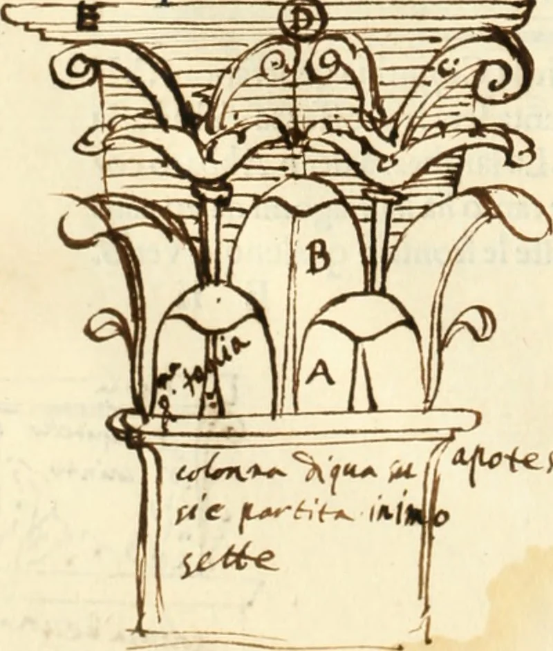 An illustration from M.L. Vitrvuio Pollione Di architettura : dal vero esemplare latino nella volgar lingua tradotto, e con le figure a suoi luoghi con mirãdo ordine insignito : anchora con la tauola alfabetica, nella quale facilmente si potra trouare la moltitudine de vocaboli a suoi luoghi cõ gran diligenza esposti e dichiarati : mai piu da alcuno altro fin al presente stampato a grande vtilita di ciascuno studioso, 1535, leaf 95