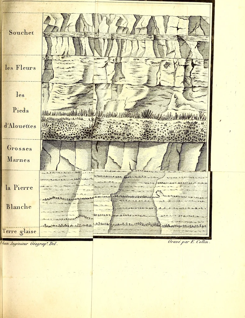 An illustration from Mémoires de l'Institut national des sciences et arts : sciences mathématiques et physiques, 1798, leaf 344