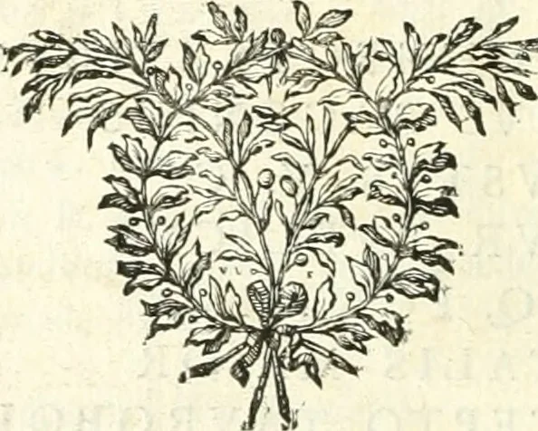 An illustration from Mémoires de littérature tirez des registres de l'Académie royale des inscriptions et belles lettres, depuis le renouvellement de cette Académie jusqu'en 1705, 1717, leaf 525