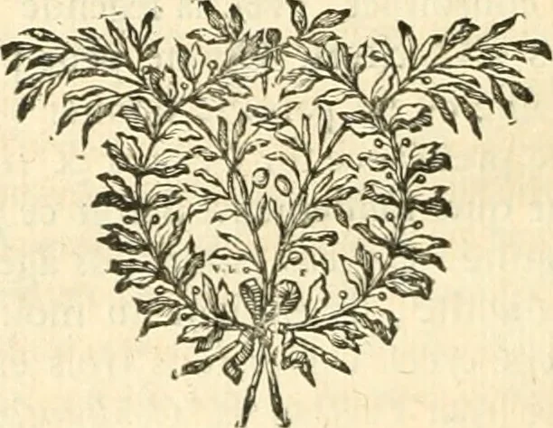 An illustration from Mémoires de littérature tirez des registres de l'Académie royale des inscriptions et belles lettres, depuis le renouvellement de cette Académie jusqu'en 1705, 1717, leaf 633